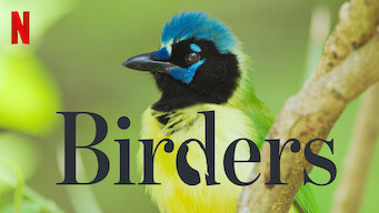 Birders (2019)