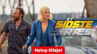 Ét sidste ræs (2023)